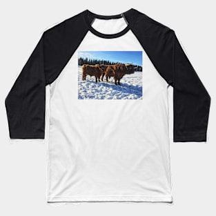 Scottish Highland Cattle Bulls 1937 Baseball T-Shirt